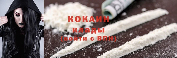 PSILOCYBIN Липки