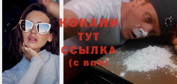 PSILOCYBIN Липки