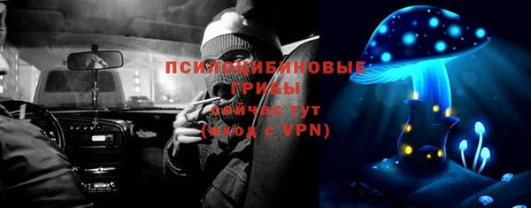PSILOCYBIN Липки