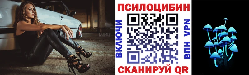 Купить где  Разумное  Псилоцибиновые грибы мицелий 